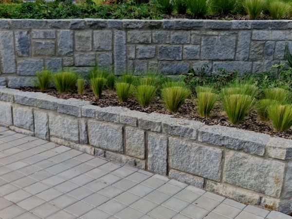 Lawn Erosion Management