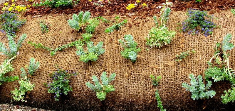 Erosion Management Service