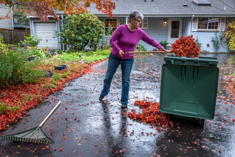 Raking and Bagging Leaves